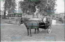 Homme en charrette