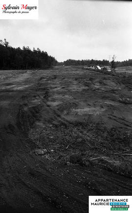 Terrain défriché