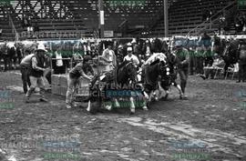 Chevaux tirant des objets