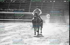 Cavalier sur un cheval