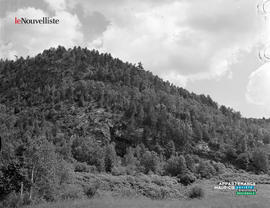 003 - Montagne