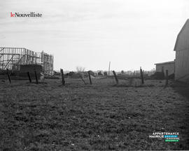 006 - Paysage