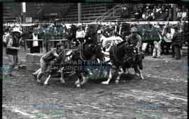Chevaux poussés par des hommes