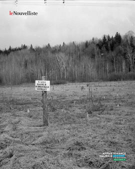 001 - Plantation de sapins