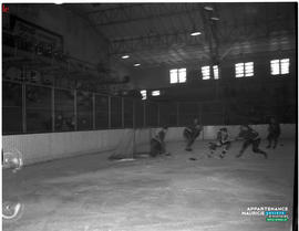 009 - Hockey