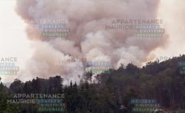 Fumée s'élevant d'une forêt