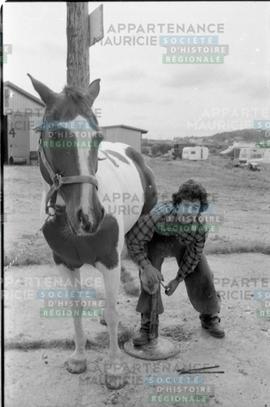 Homme avec un cheval