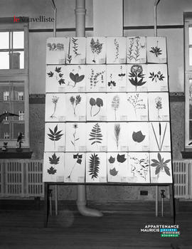 002 - Photos de plantes