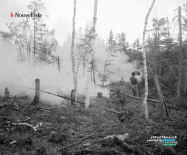 001 - Feu de forêt