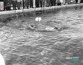 009 - Piscine de l'exposition