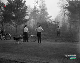 001 - Incendie de forêt