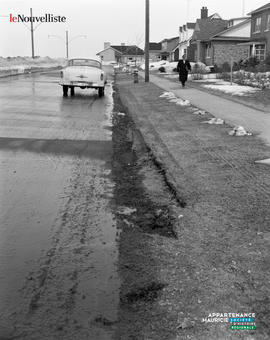 001 - Pelouse endommagée