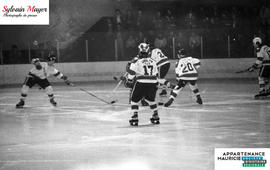 Joueurs de hockey