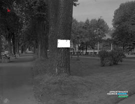 001 - Parc Victoria