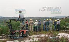 Hommes regardant une forêt