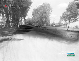 003 - Rue