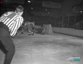 001 - Hockey