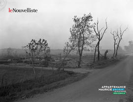 004 - Fumée en campagne