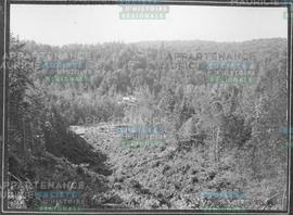 Mill-site of the B.-C. Pulp Co. July 1900.