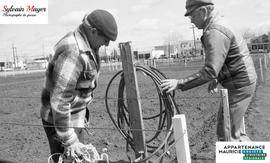 Hommes travaillant