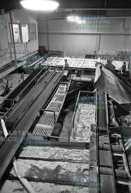 Installations de la scierie