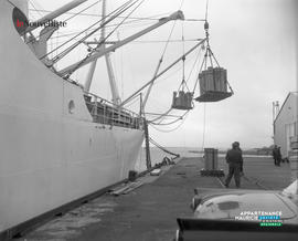 003 - Chargement au port
