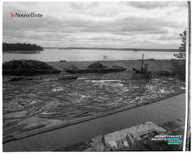 001 - Bois flottant et avion