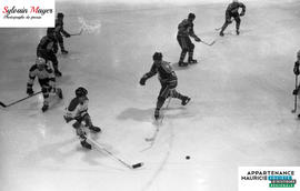 Joueurs de hockey