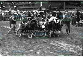 Chevaux tirant des objets