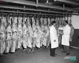 002 - Département du boeuf