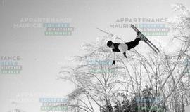 Ski acrobatique