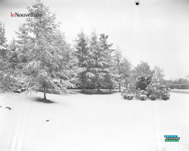 004 - Première neige