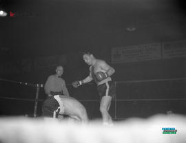 006 - Boxe