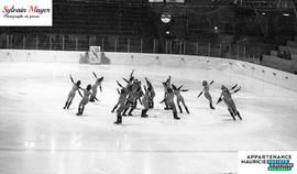 Patineuses artistiques en action