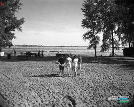 002 - Plage