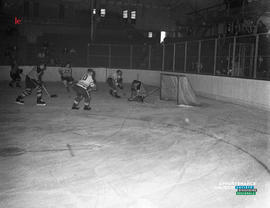 004 - Hockey