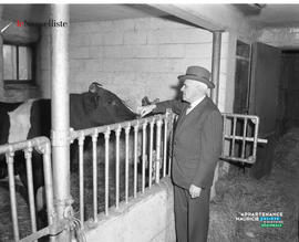 006 - Homme et vache