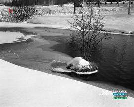 001 - Ruisseau