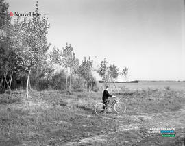 003 - Bicyclette