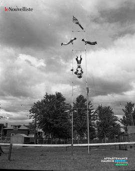 004 - Acrobates