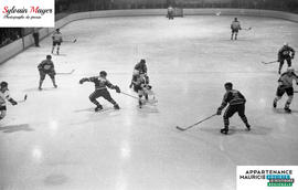 Joueurs de hockey