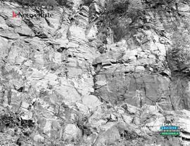 001 - Falaise