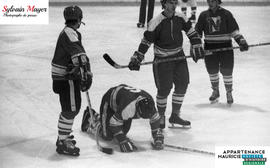 Joueurs de hockey
