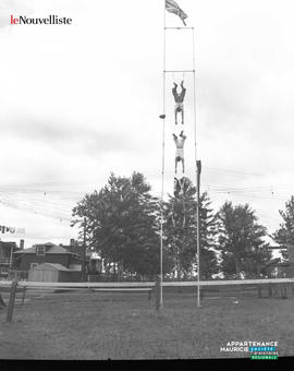 002 - Acrobates