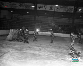 003 - Hockey