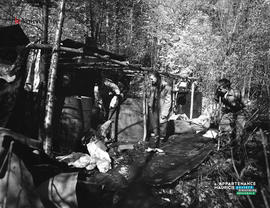 002 - Cabane