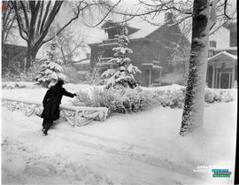 003 - Hiver
