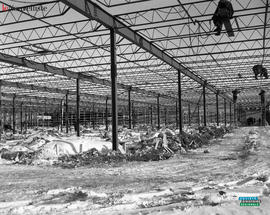 001 - Entre des aubaines en construction