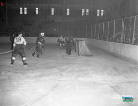 001 - Hockey
