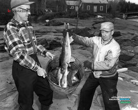 001 - Poissons